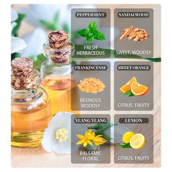Eucalyptus Tea Tree  Essential Oils 10ML with Dropper Diffuser Aroma Oil Lavender Jasmine Sandalwood Bergamot Rose Vanilla Oil - Image 2